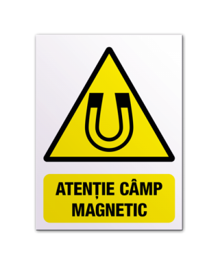 Indicatoare Pentru Campuri Magnetice